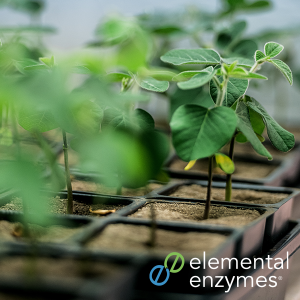 Elemental Enzymes: Specializes in enzyme, peptide, protein, and biological chemistry solutions that contribute to plant health, yield and profitability.