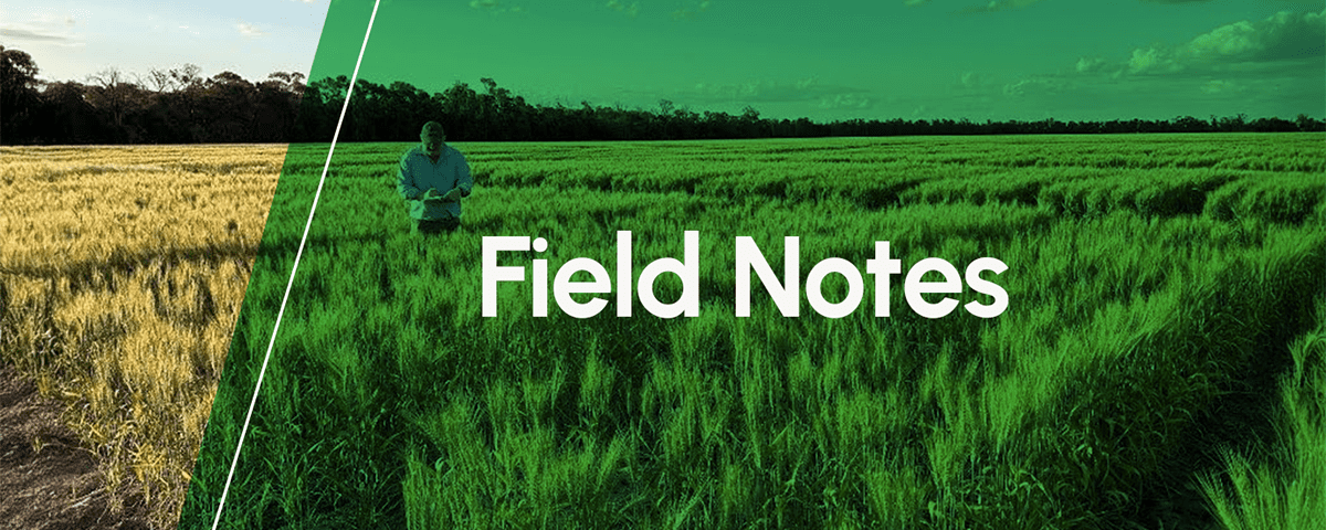 Field Notes