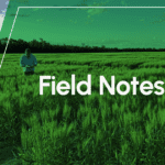 Field Notes