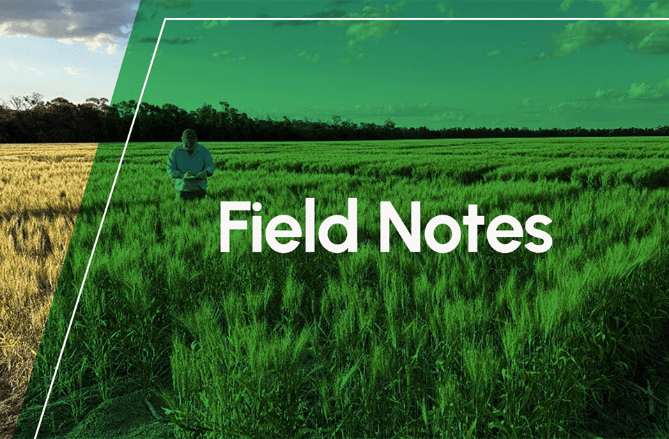 Field Notes