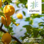A citrus tree with ripe yellow fruit under a bright blue sky, featuring the Vismax™ and Elemental Enzymes® logos, highlighting agricultural innovation.