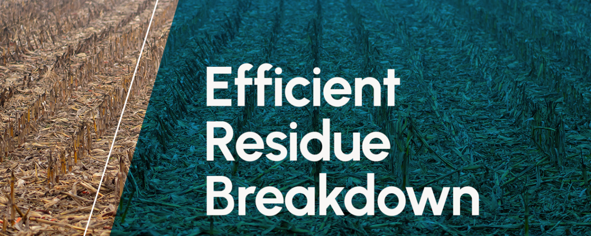 Efficient Residue Breakdown