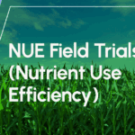 NUE Field Trails (Nutrient Efficiency)