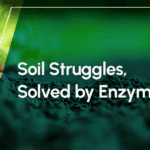 Soil Struggles, Solved by Enzymes